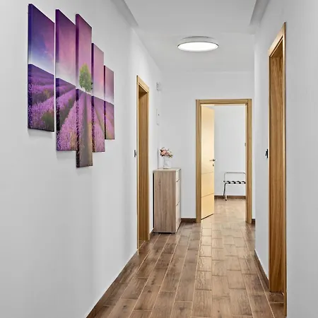 Camelie Near Barban For 10 People With Playground For Children, Fitness & Pet Friendly * Grandici