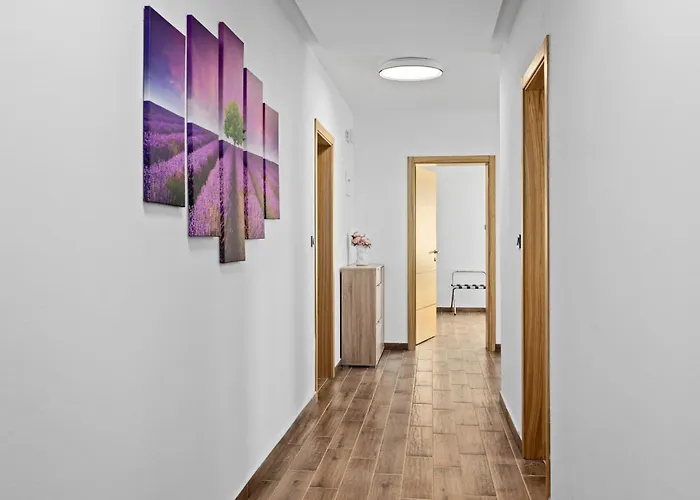 Camelie Near Barban For 10 People With Playground For Children, Fitness & Pet Friendly * Grandici